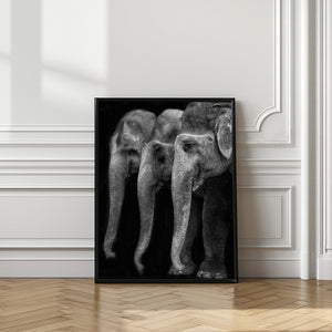 Tablou înramat „Nature\'s great masterpiece, an elephant; the only harmless great thing ...” de Yvette Depaepe