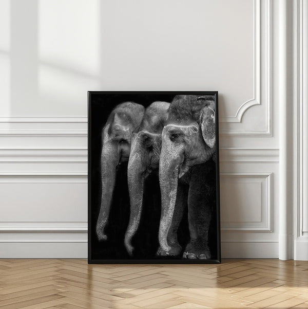 Tablou înramat „Nature\'s great masterpiece, an elephant; the only harmless great thing ...” de Yvette Depaepe