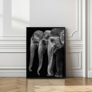 Tablou înramat „Nature\'s great masterpiece, an elephant; the only harmless great thing ...” de Yvette Depaepe