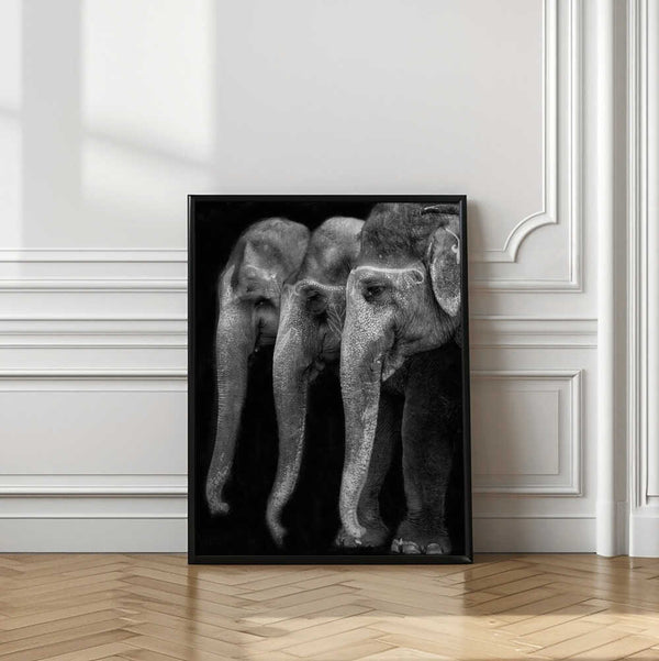 Tablou înramat „Nature\'s great masterpiece, an elephant; the only harmless great thing ...” de Yvette Depaepe