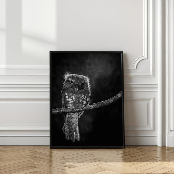 Tablou înramat „Alone in the night” de wilianto