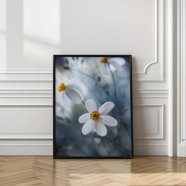 Tablou înramat „Cosmos” de Mandy Disher