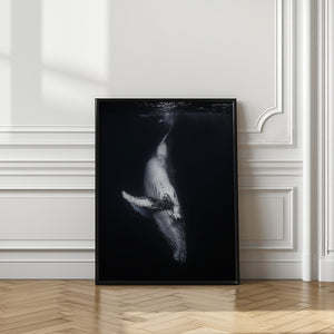 Tablou înramat „Black Whale” de Barathieu Gabriel