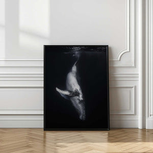 Tablou înramat „Black Whale” de Barathieu Gabriel