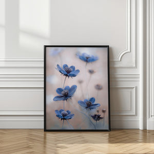 Tablou înramat „Cosmos blue” de Mandy Disher