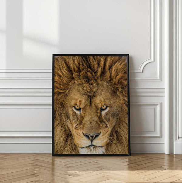Tablou înramat „Serious Lion” de Mike Centioli