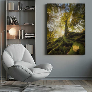 Tablou canvas „The goodbye of a leaf” de Alberto Ghizzi Panizza