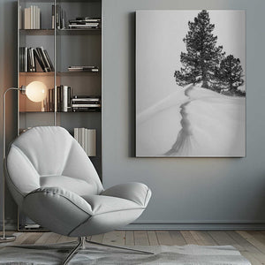 Tablou canvas „About the snow and forms” de Rodrigo Núñez Buj