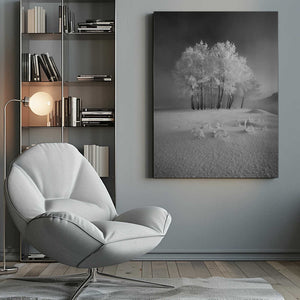 Tablou canvas „The first snow” de Krzysztof Mierzejewski
