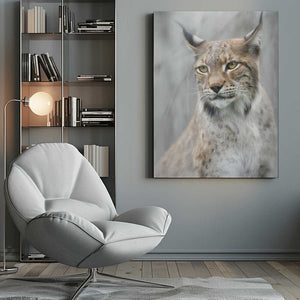 Tablou canvas „Lynx portrait in the fog” de Santiago Pascual Buye
