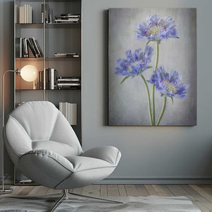 Tablou canvas „Scabiosa” de Mandy Disher
