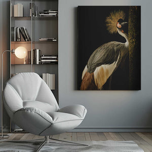 Tablou canvas „Grey Crowned Crane” de Jealousy