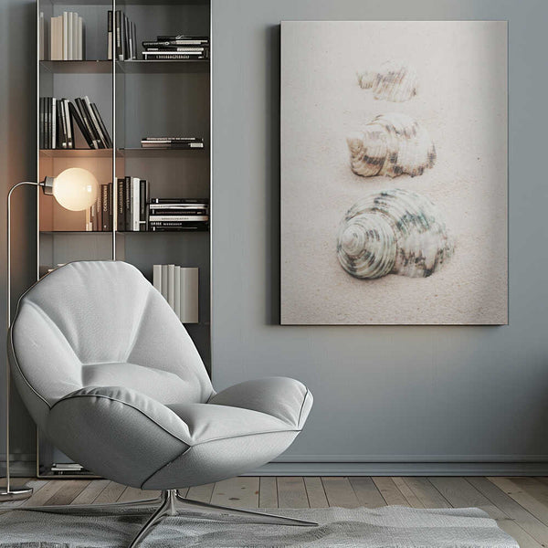 Tablou canvas „Shells” de Pictufy Studio III