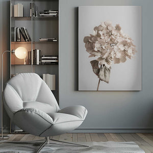 Tablou canvas „Beige dried flower” de Pictufy Studio III