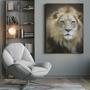 Tablou canvas „Portrait of a Young Male Lion” de Linda D Lester