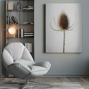 Tablou canvas „Dried_004” de Pictufy Studio III