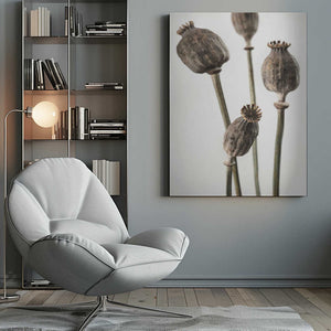 Tablou canvas „Dried_006” de Pictufy Studio III