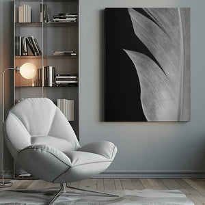 Tablou canvas „Feather_005” de Pictufy Studio III