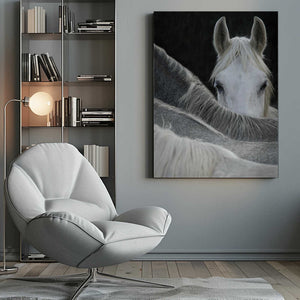 Tablou canvas „Look” de Milan Malovrh