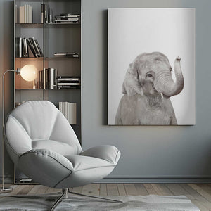 Tablou canvas „Baby Elephant” de Kathrin Pienaar