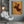 Tablou canvas „RODEO CAT” de Adam Lawless