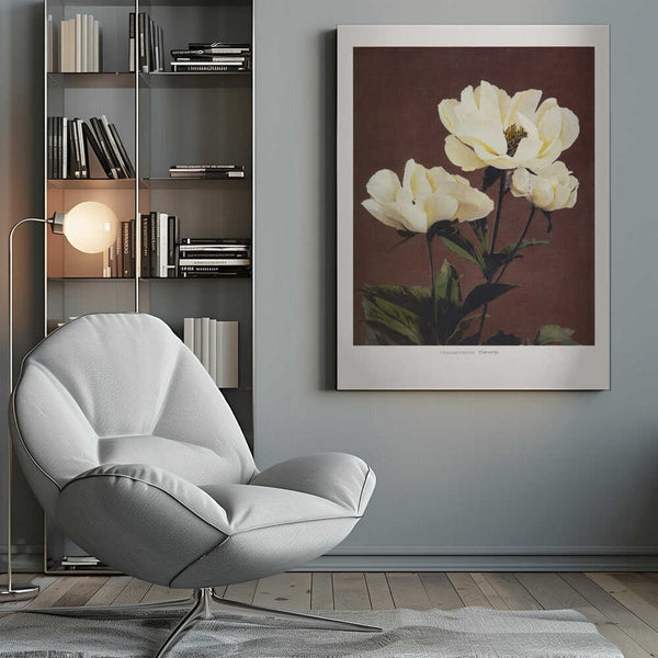 Tablou canvas „Hærdaceous Peony” de Ogawa Kazumasa