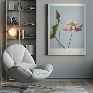 Tablou canvas „ Lotus Flowers” de Ogawa Kazumasa