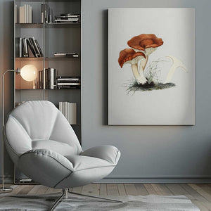 Tablou canvas „Hand Drawn Rufous Milkcap Mushroom” de Biodiversity Heritage Library