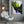 Tablou canvas „Vivid Bird Glance” de Shot by Clint