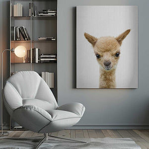 Tablou canvas „Peekaboo Baby Llama” de Lola Peacock
