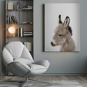 Tablou canvas „Peekaboo Baby Donkey” de Lola Peacock