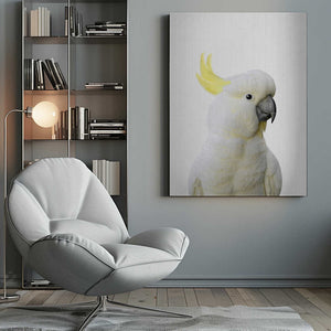 Tablou canvas „Peekaboo Cockatoo” de Lola Peacock