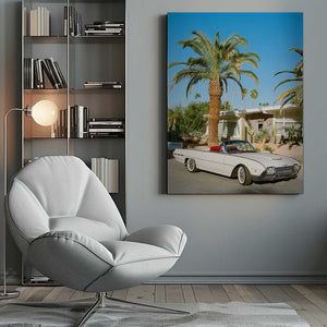 Tablou canvas „Palm Springs Thunderbird” de Bethany Young