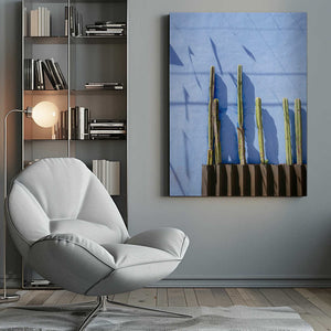 Tablou canvas „Tall Cacti | Oaxaca Mexico travel photography” de Raisa Zwart