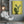 Tablou canvas „Yellow Cactus” de Lila & Lola