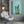 Tablou canvas „Turquoise Cactus” de Lila & Lola
