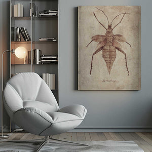 Tablou canvas „Vintage Insect Illustration” de Mike Koubou