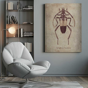 Tablou canvas „Vintage Insect Sketch” de Mike Koubou