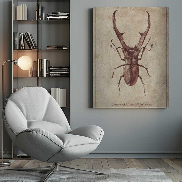 Tablou canvas „Antique Beetle Illustration” de Mike Koubou