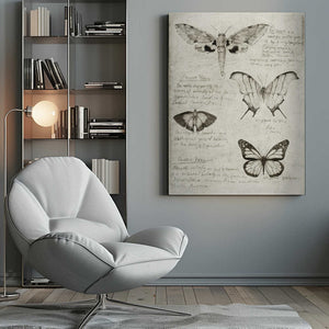 Tablou canvas „Butterfly Illustrations” de Mike Koubou