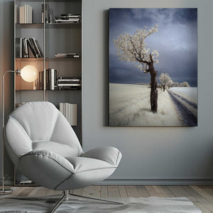 Tablou canvas „IRenka” de Piotr Krol (Bax)