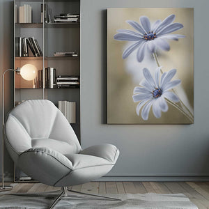 Tablou canvas „Cape daisies” de Mandy Disher
