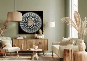 Tablou canvas „Notocactus scopa” de Victor Mozqueda