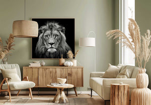 Tablou canvas „Young Male Lion” de Christian Meermann