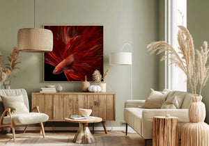 Tablou canvas „Red Fire Bettafish” de Antonyus Bunjamin (Abe)