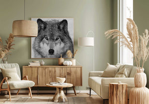 Tablou canvas „Wolf Portrait” de Mircea Costina