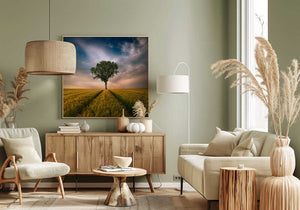 Tablou canvas „One” de Piotr Krol (Bax)