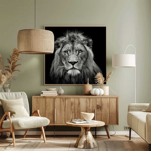 Tablou canvas „Young Male Lion” de Christian Meermann