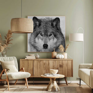 Tablou canvas „Wolf Portrait” de Mircea Costina