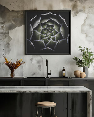 Tablou înramat „Sempervivum Rosette” de Victor Mozqueda